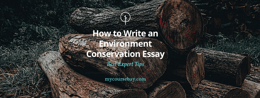 how to write environment conservation essay