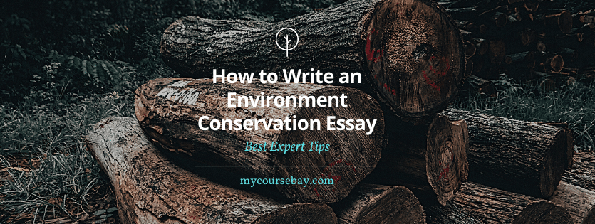 Easy Steps How To Write An Environment Conservation Essay Mycoursebay