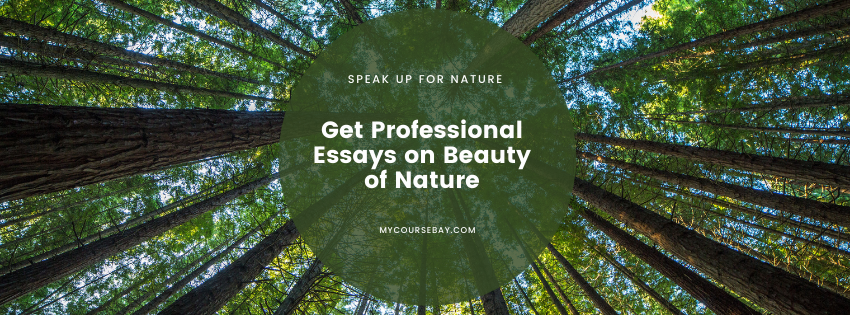 Creative writing essay on beauty of nature
